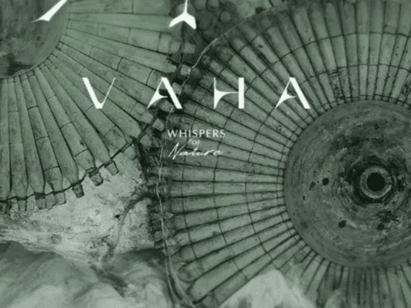 كمبوند فاها زايد الجديدة